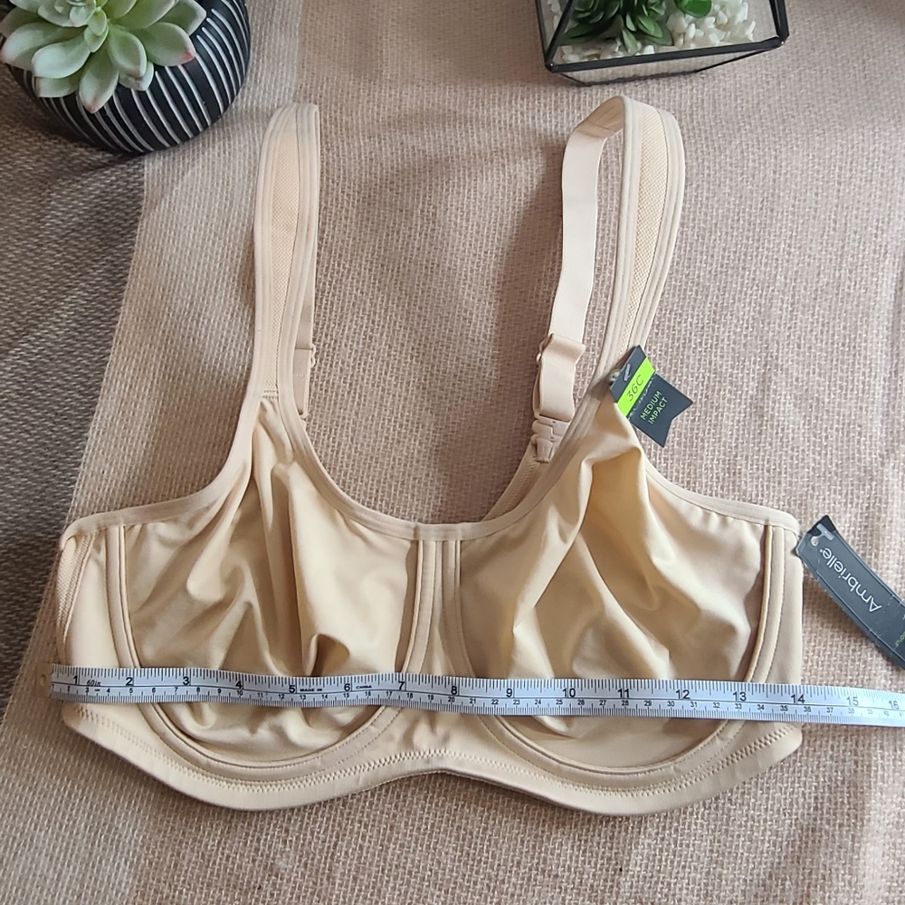 Ambrielle  tan bra 36C